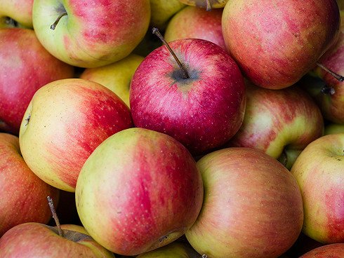Que faire avec beaucoup de pommes ? La recette incontournable et 5 astuces pour bien les conserver